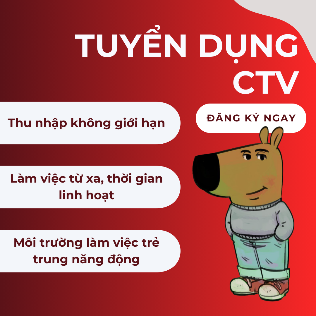 lĩnh vực hoạt động